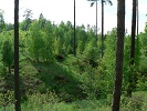 Brigda - kvten 2013