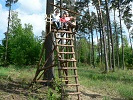 Brigda - kvten 2013