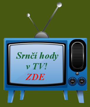 Srnci v tv